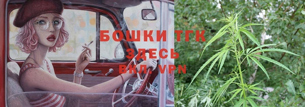 мдпв Протвино