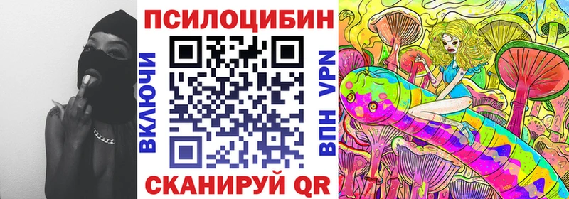 Купить где  Спасск-Дальний  Псилоцибиновые грибы Cubensis 